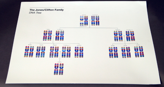 用棉簽采集你嘴里的DNA，根據(jù)它的特征定制一條專屬圍巾